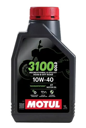 3100