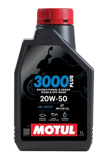 3000