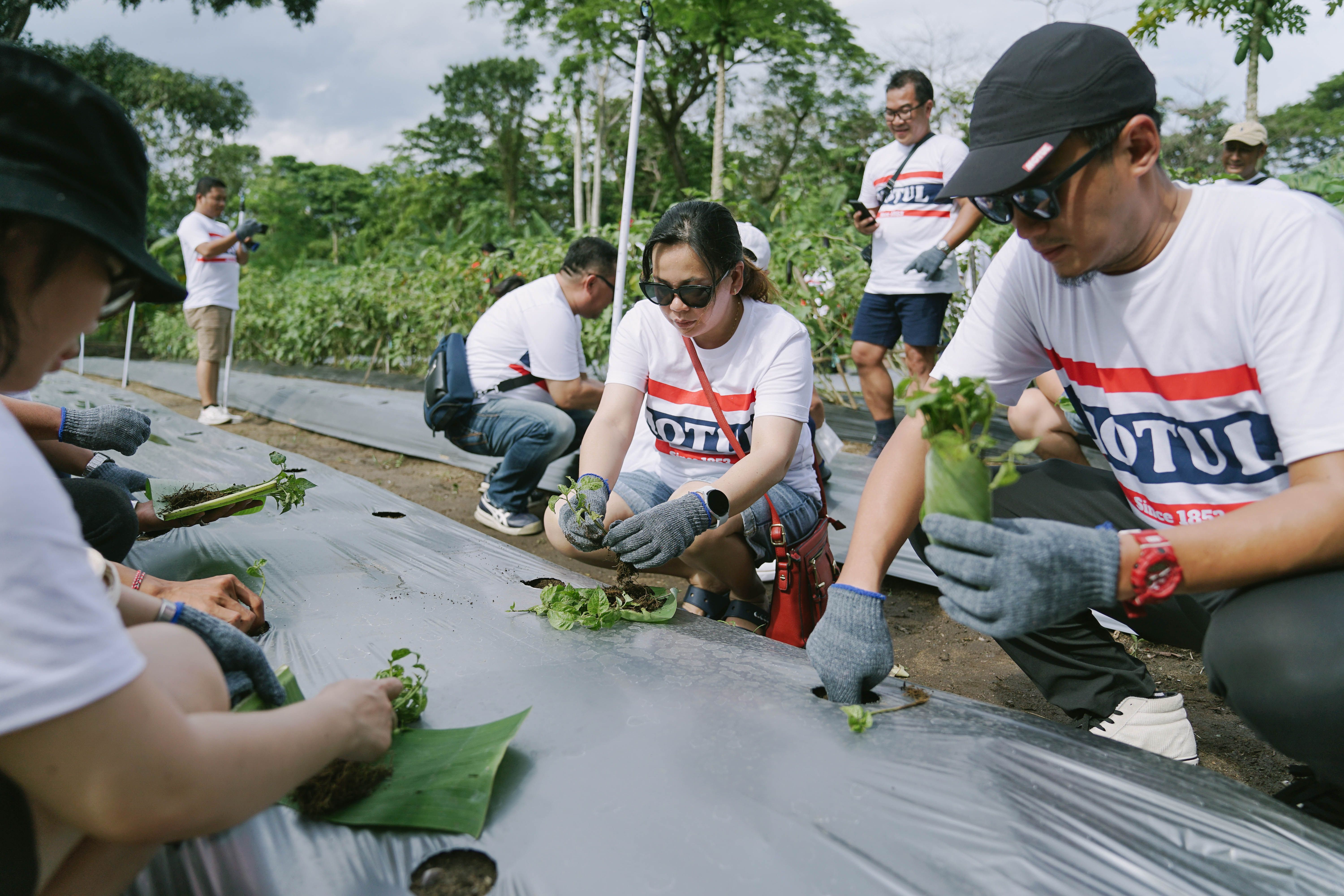 Indonesia CSR.jpg